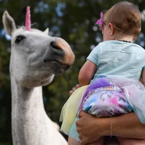 Dream Diaper 2.0 - Chasing Rainbows