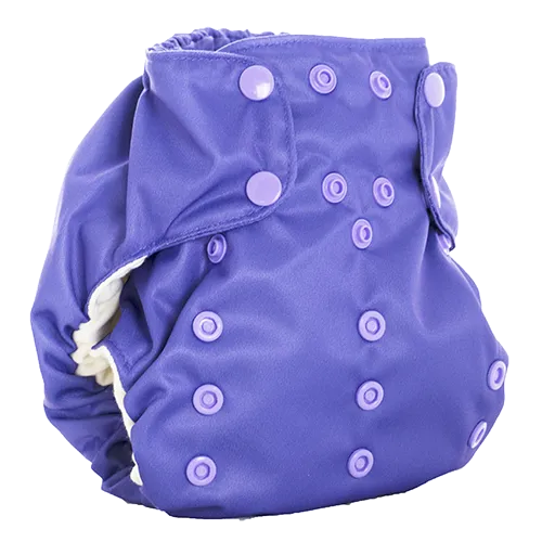 Smart Bottoms One Size Dream Diaper 2.0